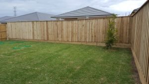 timber high pailing fence