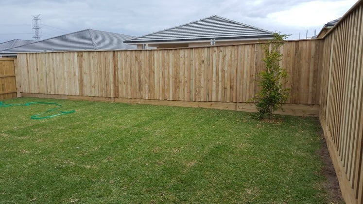 tall timber pailing fence